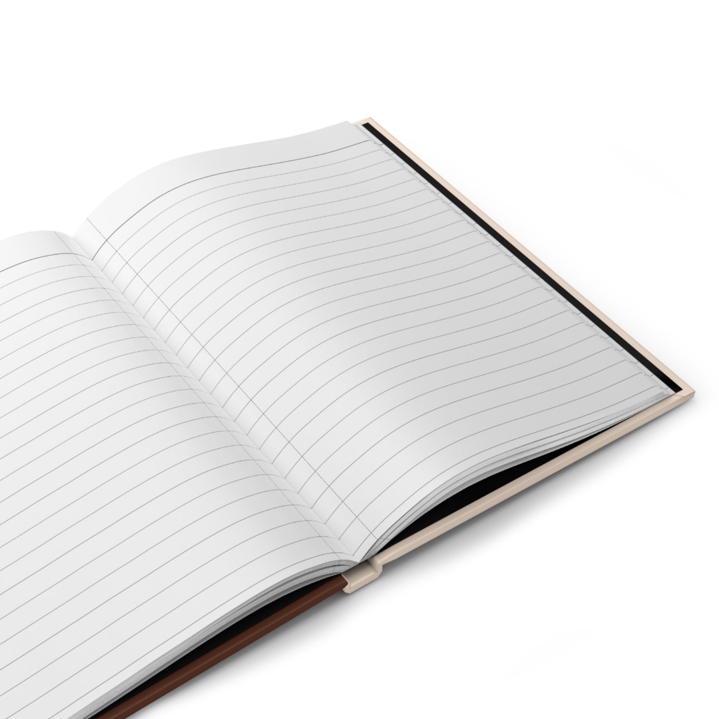 Daily Anubhav Journal